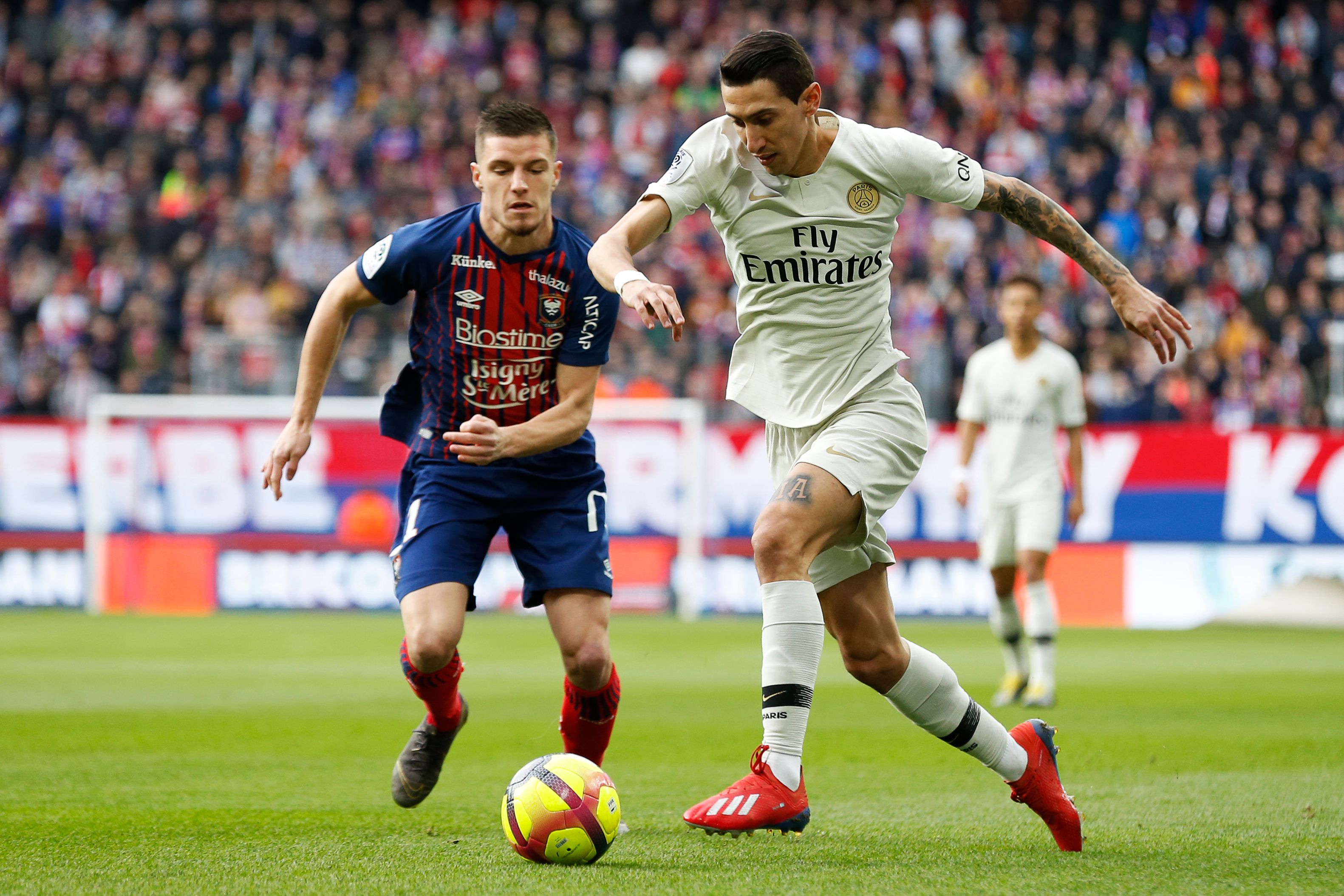 官方：热刺助教马特·韦尔正式成为科罗拉多急流主帅（官宣：前热刺助教马特·韦尔出任科罗拉多急流主帅）